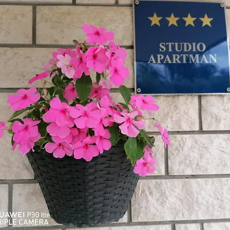 Borna Apartment *