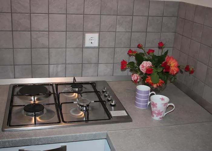 Apartment Borna Pazin