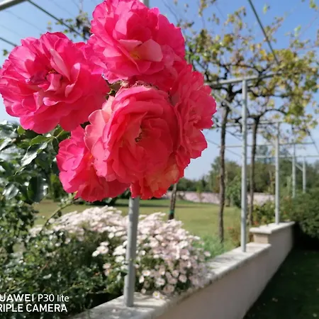 Апартаменты Borna *