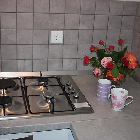 Apartment Borna Pazin