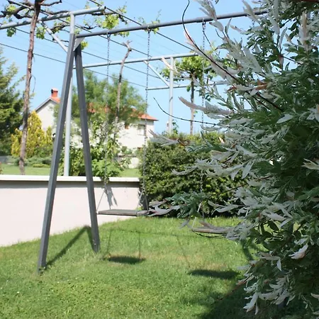 Borna Pazin