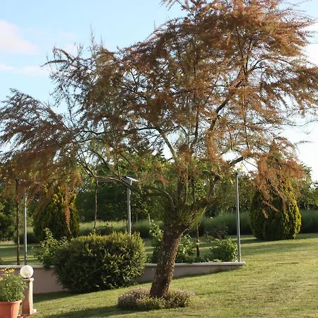 Borna Apartment Pazin