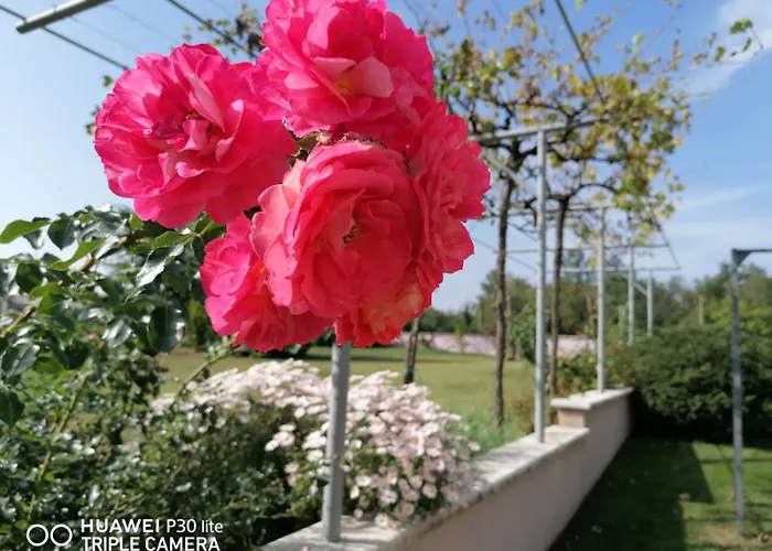 Διαμέρισμα Borna *